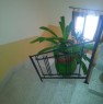 foto 1 - Carini appartamento di mq 110 a Palermo in Affitto