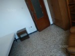 Annuncio affitto Cagliari stanza in appartamento
