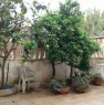 foto 3 - San Pietro in Bevagna di Manduria villa a Taranto in Vendita