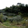 foto 5 - Terreno agricolo zona Valdera localit Treggiaia a Pisa in Vendita