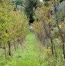 foto 4 - Terreno agricolo zona Valdera localit Treggiaia a Pisa in Vendita