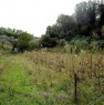 foto 0 - Terreno agricolo zona Valdera localit Treggiaia a Pisa in Vendita