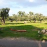 foto 1 - Da privato a Trepuzzi terreno agricolo a Lecce in Vendita