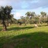 foto 0 - Da privato a Trepuzzi terreno agricolo a Lecce in Vendita
