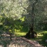 foto 3 - Terreno agricolo sopra la localit di Sommavilla a Verona in Vendita
