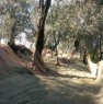 foto 0 - Terreno agricolo sopra la localit di Sommavilla a Verona in Vendita