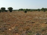 Annuncio vendita Scalella terreno agricolo panoramico