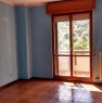 foto 7 - Mirabello Sannitico appartamento termoautonomo a Campobasso in Affitto