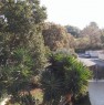 foto 4 - Ardea zona nuova Florida porzione di villa a Roma in Affitto
