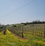 foto 0 - Vicenza zone collinari aziende agrituristiche a Vicenza in Vendita