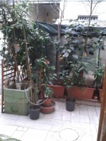 Annuncio vendita Milano locali con giardino privato