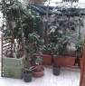 foto 0 - Milano locali con giardino privato a Milano in Vendita