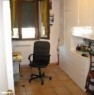 foto 3 - Tavullia appartamento in quadrifamiliare a Pesaro e Urbino in Vendita