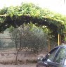 foto 1 - Marina di Ginosa appartamento in villa a Taranto in Vendita