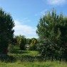 foto 4 - A Montemarciano terreno agricolo a Ancona in Vendita