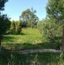 foto 1 - A Montemarciano terreno agricolo a Ancona in Vendita