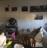 foto 8 - Morciano di Romagna appartamento non arredato a Rimini in Vendita