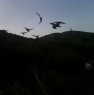 foto 3 - Castiglione della Pescaia capanno ai colombi a Grosseto in Vendita