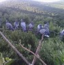 foto 1 - Castiglione della Pescaia capanno ai colombi a Grosseto in Vendita