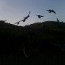 foto 0 - Castiglione della Pescaia capanno ai colombi a Grosseto in Vendita