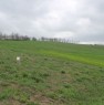 foto 0 - Colline tortonesi lotti di terreno agricolo a Alessandria in Vendita