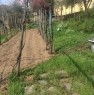 foto 4 - Bagnone casa immersa nel verde tra ulivi e viti a Massa-Carrara in Vendita