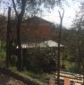 foto 1 - Bagnone casa immersa nel verde tra ulivi e viti a Massa-Carrara in Vendita