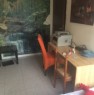 foto 3 - Milano stanza in appartamento immerso nel verde a Milano in Affitto