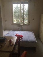 Annuncio affitto Milano stanza in appartamento immerso nel verde