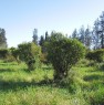 foto 1 - Terra Noas terreno agricolo a Cagliari in Vendita