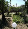 foto 5 - Ispica villetta immersa nel verde a Ragusa in Vendita