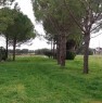 foto 3 - Aradeo terreno con fondamenta e rudere a Lecce in Vendita