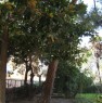 foto 1 - Giulianova villa indipendente con ampio giardino a Teramo in Vendita
