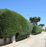 foto 9 - Crispiano villa a Taranto in Vendita
