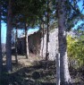 foto 4 - Mormanno terreni con rudere a Cosenza in Vendita