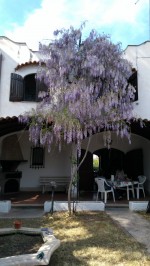 Annuncio vendita Terracina villa a schiera in stile Moresco