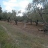 foto 4 - Matera terreno agricolo a Matera in Vendita