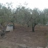 foto 3 - Matera terreno agricolo a Matera in Vendita