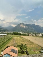 Annuncio vendita Castelnuovo terreno agricolo