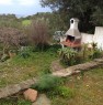 foto 9 - Siniscola villetta panoramica con giardino a Nuoro in Affitto
