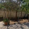 foto 3 - Torre Chianca villetta con ampio giardino a Lecce in Affitto