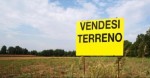 Annuncio vendita Pietrasanta terreno agricolo zona Ripa