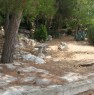 foto 1 - Castrignano del Capo casa immersa nel verde a Lecce in Affitto