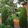 foto 6 - Sirmione monolocale con terrazza vista lago a Brescia in Affitto