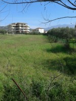 Annuncio vendita Castelforte terreno edificabile