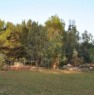 foto 2 - Bellaria lotto di terreno edificabile a Lecce in Vendita