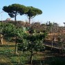 foto 0 - Ladispoli terreno edificabile a Roma in Vendita