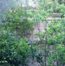 foto 8 - San Severo appartamento con giardino a Foggia in Vendita