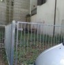 foto 5 - Acquapendente appartamento a Viterbo in Affitto