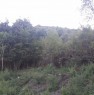 foto 0 - Caiazzo terreno bosco ceduo a Caserta in Vendita